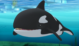 Orca-0