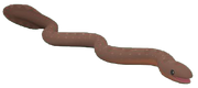 Electriceel
