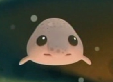 Bob | Octonauts Wiki | FANDOM powered by Wikia
