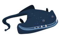 Gulper Eel
