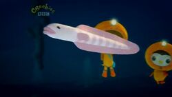 Vent Fish