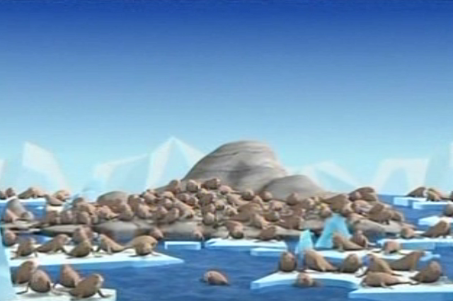 File:The Walrus Colony.png