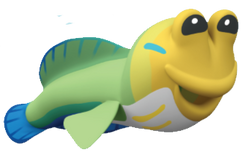 Jawfish