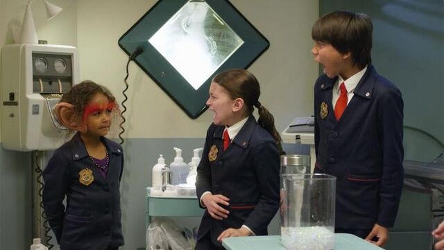 File:One20Gallon20Cure.jpg.resize.710x399.jpg