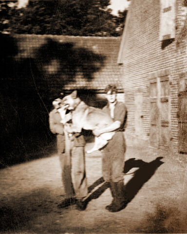 Datei:Onkel albert siegfried witte.jpg