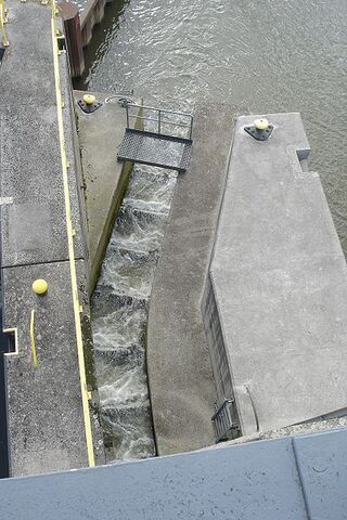 Datei:Fischtreppe001.jpg