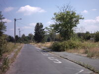 Lohwald.jpg
