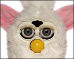 Furby145