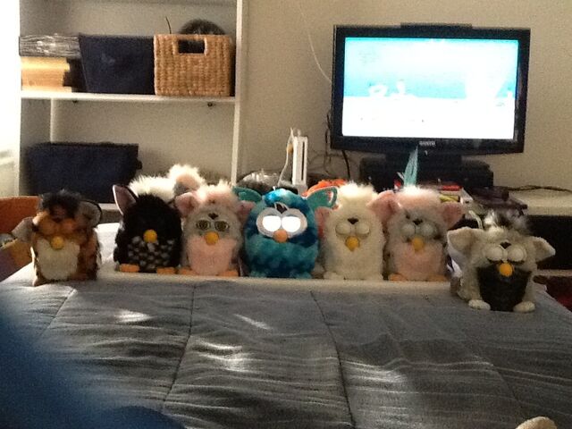 File:MyFurbysFun.jpg