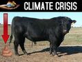Thumbnail for version as of 10:39, October 17, 2011