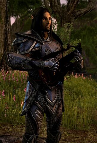 File:Altmer1.jpg