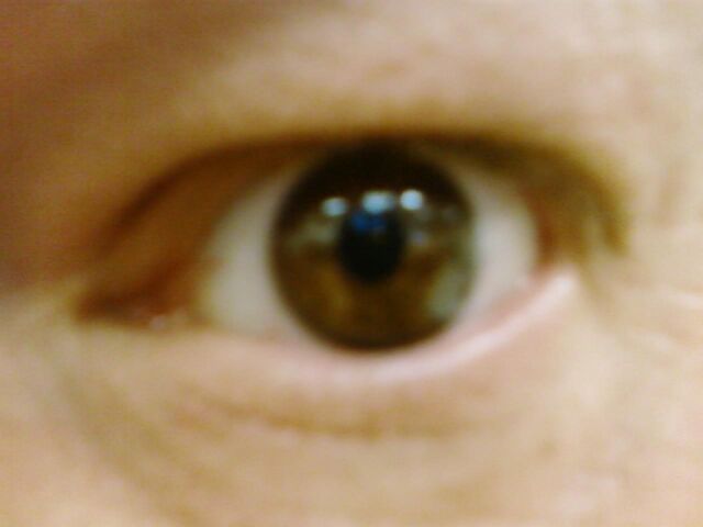 File:Ogreonly.jpg