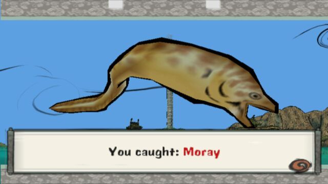 File:Moray.jpg