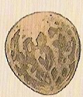Amphithere Dragon Egg