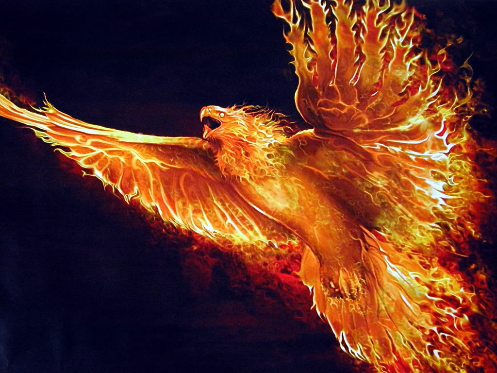 Image - Phoenix bird picture.jpg | Ologypedia | FANDOM powered by Wikia