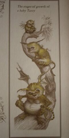 File:TASMANIANDRAGON2.jpg