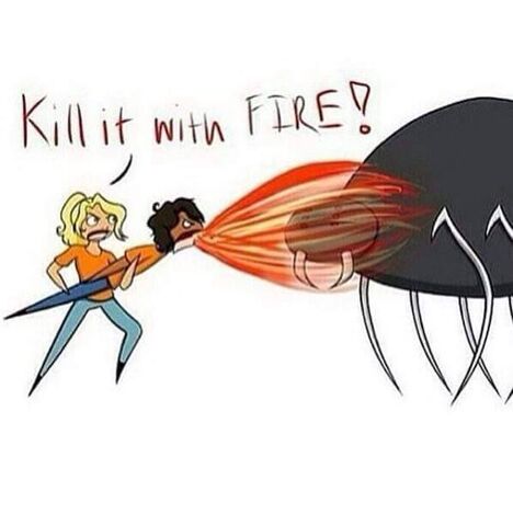 File:Kill it with fire.jpg