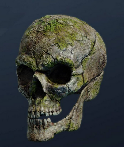 Fichier:Crânerenfrogné.png