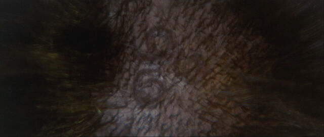 File:OriginalDamien666.jpg
