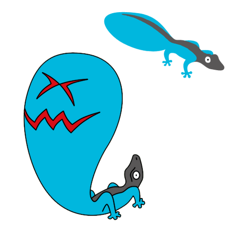 File:Geckoy.png