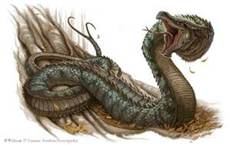 File:Worm.jpeg