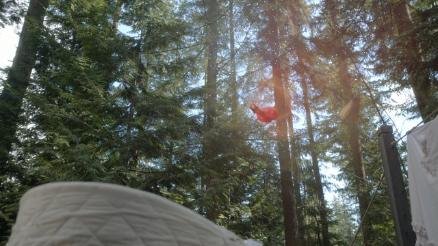 Fichier:6x19 Lily la Tigresse vol.png