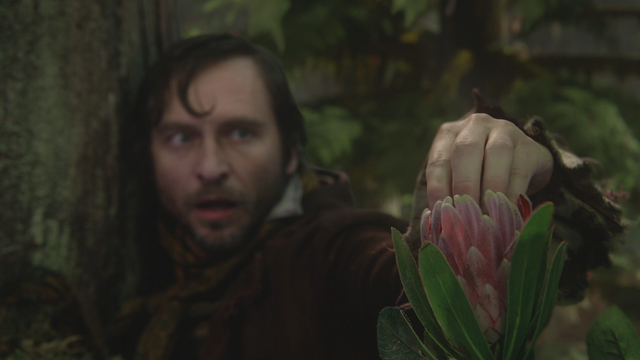 Fichier:3x08 Malcolm main doigts arbre récolte fleur poudre de fée.png