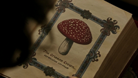 5x03 Page livre Merlin dessin couronne pourpre cheveux Regina