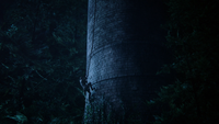 3x14 Prince Charmant David escalade tour Raiponce cheveux tresse.png