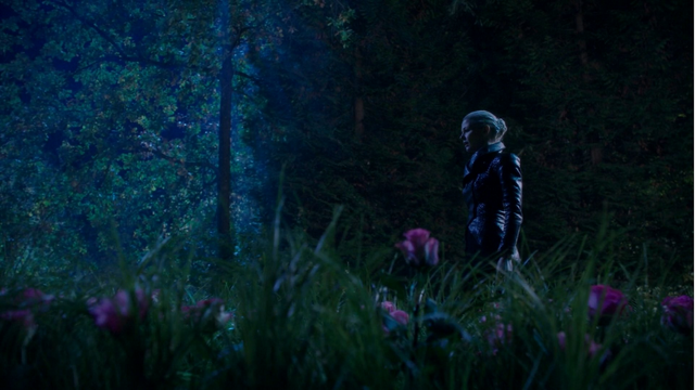 Fichier:5x10 Emma Dark Swan champ fleurs roses nuit recherche désespérément Killian contrainte utilisation Excalibur convocation.png