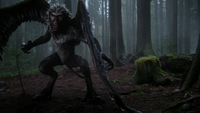 3x15 Singe Volant debout forêt de Storybrooke blessé aile.png