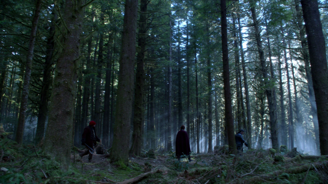 File:317EnchantedForest.png