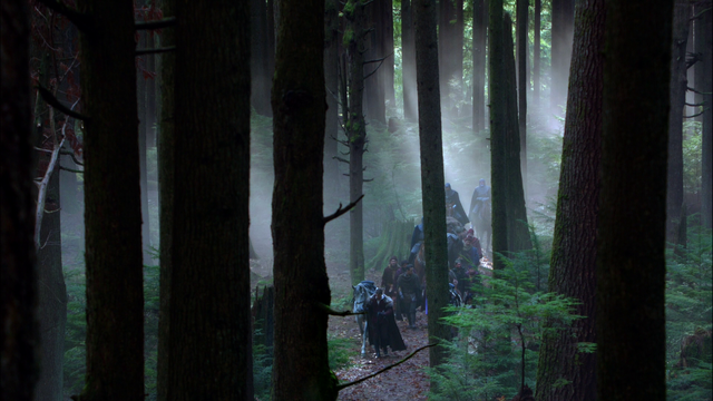 File:312Woods.png