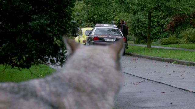 File:107WolfRunsAway.png