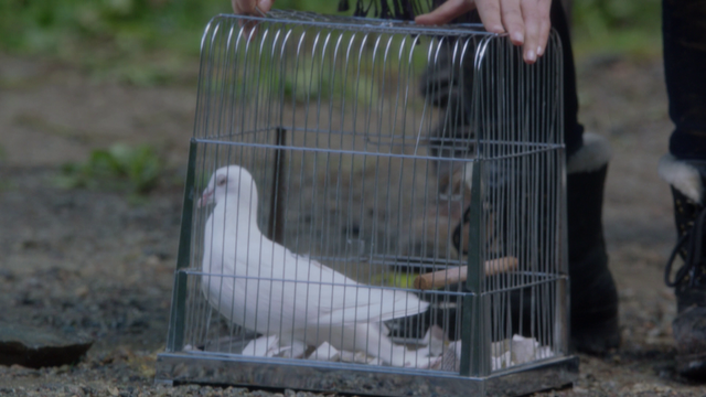 File:110OpeningCage.png