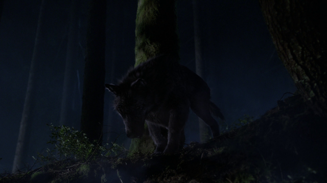 File:207Hesitating.png