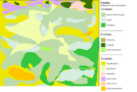 Plattegrondje eind september -gras+planten.png