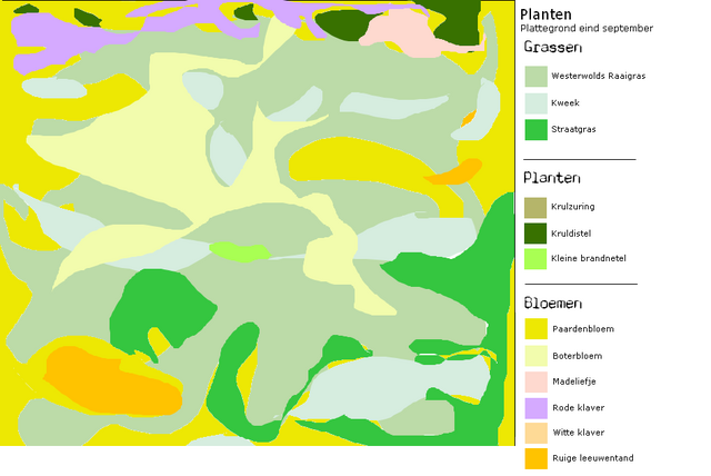 Bestand:Plattegrondje eind september -gras+planten.png
