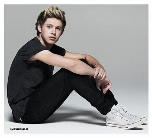 File:Niall-Horan-Fabulous-Magazine-2012-one-direction-32401907-1600-1457.jpg