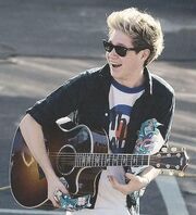 Niall Horan guitar