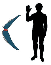 Boomerang