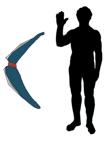 File:Boomerang.jpg