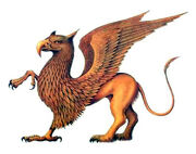 Grifo.jpg