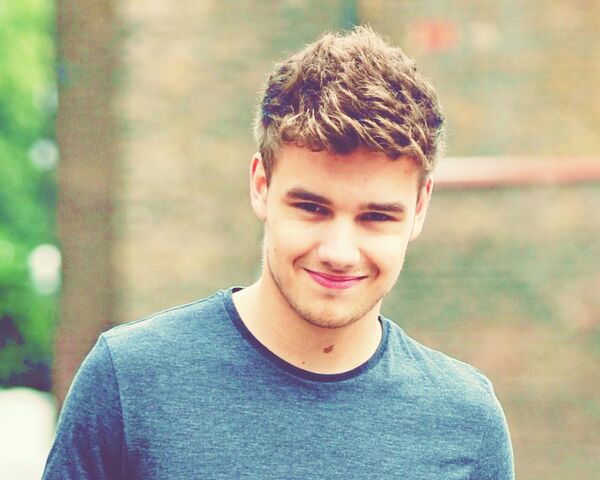File:Liam Payn.jpg
