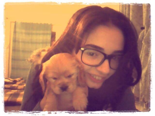 File:Webcam-toy-photo13.jpg