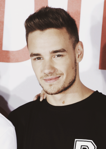 Datei:Liam Payne5.png