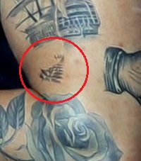 Resultado de imagem para HARRY STYLES’ NEW ZEALAND FERN TATTOO ON HIS ARM