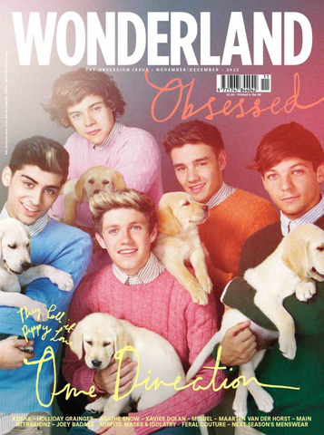 File:Onedirectionwonderlandcover.png