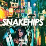 Snakehips-feat.-Zayn-–-Cruel