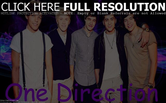 File:Fotos-de-one-direction-2013.jpg